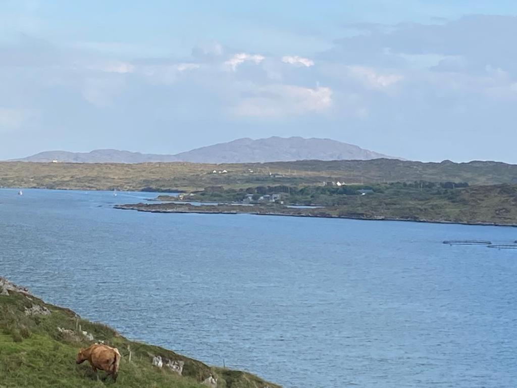 Racecourse Lodge Apartment Clifden Exterior foto